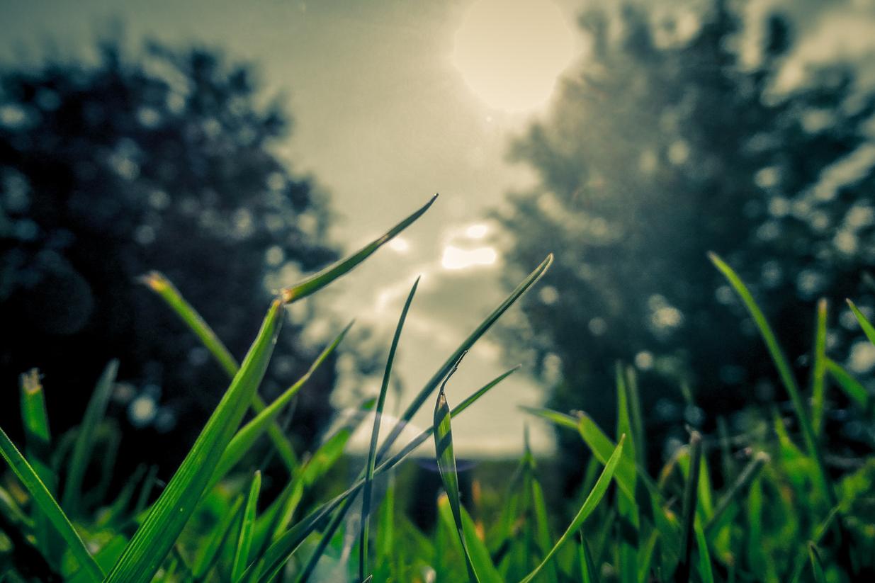 Sint officiis ipsa voluptates